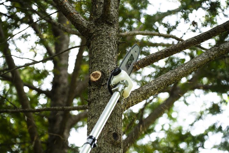 Echo Pole Pruner Attachment MTA-DPP - MTA-DPP 2021 (4).jpg